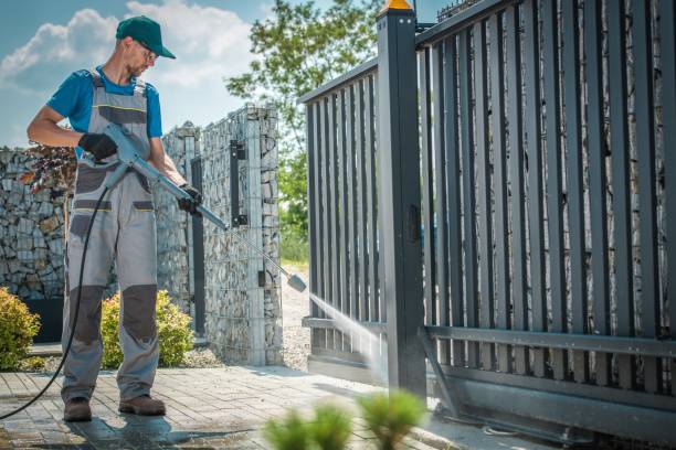 Best Gutter Cleaning  in Tioga, ND