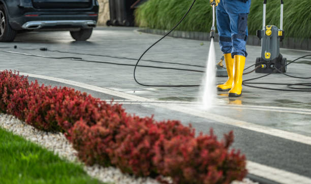 Best Sidewalk and Walkway Cleaning  in Tioga, ND